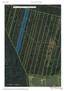 Prodej, pozemky/les, 32388 m2, Břilice , Třeboň, Jindřichův Hradec [ID 88419], cena 1600000 CZK / objekt, nabízí 