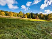 Prodej rozlehlých pozemků 39.564 m2 České Žleby, cena cena v RK, nabízí 