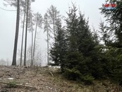 Prodej, les, 30934 m2, Vřesce, cena cena v RK, nabízí
