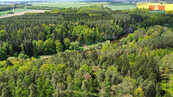 Prodej lesa, 79857 m2, Černýšovice, cena 2800000 CZK / objekt, nabízí 