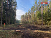 Prodej lesa, 7764 m2, Újezdec, cena 99000 CZK / objekt, nabízí 