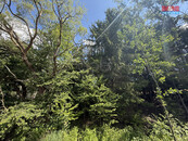 Prodej lesa, 5323 m2, Olší u Opařany, cena 523300 CZK / objekt, nabízí 