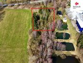 Prodej lesa 4442 m2, Rodvínov, cena 310800 CZK / objekt, nabízí