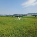 Prodej orné půdy u obce Krasetín - Holubov, cena 1130000 CZK / objekt, nabízí 