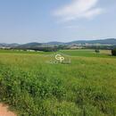 Prodej orné půdy u obce Krasetín - Holubov, cena 1130000 CZK / objekt, nabízí 